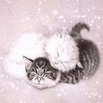 99px.ru аватар Два спящих под снегом котят
