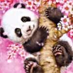 99px.ru аватар Панда держится лапами за ствол цветущего дерева