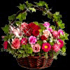 99px.ru аватар Букет цветом в плетеной корзинке с листьями, на черном фоне