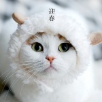 99px.ru аватар Котенок в шапочке