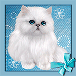 99px.ru аватар Белый кот с голубыми глазами