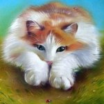 Аватар Котенок, перед которым сидит божья коровка, художник Аннет Логинова