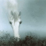 99px.ru аватар Белая лошадь ест траву, момент из мультфильма Ежик в тумане