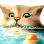 Аватар Котенок в воде смотрит на резиновый мячик, by Susana Z&;rate