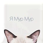 Аватар Ушки котенка, торчащие снизу (Я Мур Мур)