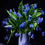 99px.ru аватар Ваза с синими цветами