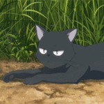 Аватар Кот Чито / Chito из аниме Полет ведьмы / Flying Witch
