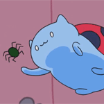 Аватар Котожук / Catbug из мультфильма Храбрейшие Воины / Bravest Warriors хочет поиграть с пауком