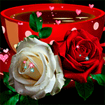 99px.ru аватар Чашка чая, белая и красная розы