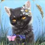 99px.ru аватар Кот с ромашками возле ушка сидит в траве на фоне голубого неба