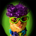 99px.ru аватар Рыжая кошка с модной прической в зеленых очках