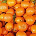 99px.ru аватар Множество оранжевых мандаринов