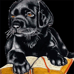 99px.ru аватар Черный щенок положил лапы на раскрытую книгу