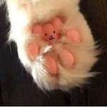 Аватар Лапка кошки, на которой нарисован милый зверек, by tigon