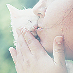 99px.ru аватар Девушка целует котенка