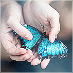 99px.ru аватар Голубая бабочка в женских руках