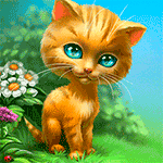 Аватар Рыжий голубоглазый котенок сидит на траве на фоне цветущих ромашек и ползающей по траве божьей коровки