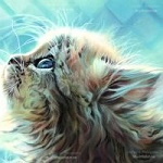 Аватар Котенок смотрит вверх
