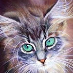 99px.ru аватар Мордочка котенка с бирюзовыми глазами