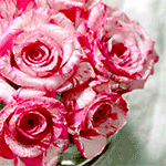 99px.ru аватар Бело-розовые красивые розы