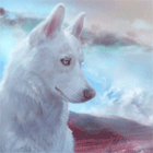 99px.ru аватар Белая хаски с голубыми глазами на фоне облачного неба, by e-soulu