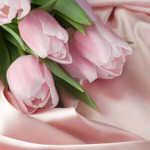 99px.ru аватар Розовые тюльпаны лежат на розовом атласе