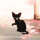 99px.ru аватар Девушка бежит за котом по улице, аниме Shigatsu wa Kimi no Uso / Твоя апрельская ложь