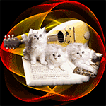 99px.ru аватар Белые котята сидят на нотной тетради на фоне гитары