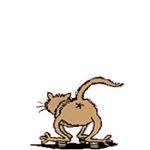 99px.ru аватар Кошка как заведенная прыгает на пружинах, пристегнутых к ее лапам