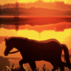 99px.ru аватар Идущая лошадь вдоль реки
