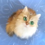 Аватар Кошка с зелеными глазами сидит под дождем, by Apofiss
