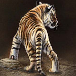 Аватар Тигренок стоит к нам хвостом, by Rebecca Latham
