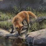 Аватар Лиса у водоема, by Rebecca Latham