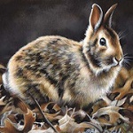 99px.ru аватар Серый кролик на траве, by Rebecca Latham