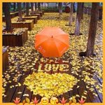 99px.ru аватар На аллее из осенних листьев выложено сердечко и слово Love / любовь, перед которым лежит зонт