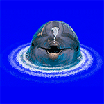 99px.ru аватар Дельфин выглядывает из воды