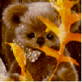 Аватар Плюшевый мишка под осенней листвой