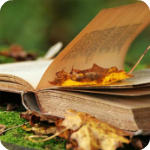 Аватар Открытая книга рядом с осенними листьями