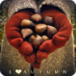 99px.ru аватар Девушка в красных перчатках держит в руках желуди (I &; autumn / Я люблю осень)