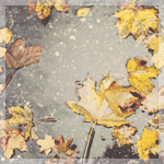 99px.ru аватар Кленовые листья в луже под дождем