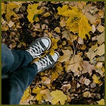 99px.ru аватар Ножки в джинсах и кедах на осенней листве