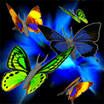99px.ru аватар Разноцветные бабочки на фоне голубого цветка
