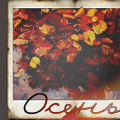 99px.ru аватар Желтые листья лежат в луже, by Что-То-с-Чем-То (Осень)