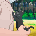 Аватар Микото Мисака / Mikoto Misaka держит на руках черного котенка, персонажи из аниме Некий научный Рейлган / Toaru Kagaku no Railgun