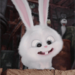 99px.ru аватар Кролик Снежок персонаж из мультфильма Тайная жизнь домашних животных / The Secret Life of Pets