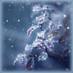 99px.ru аватар Веточка с листочками под падающим снегом