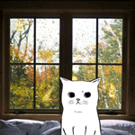 99px.ru аватар Белый котик сидит на кровати у окна, за которым идет дождь и падают осенние листья