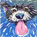 99px.ru аватар Пес плывет в воде, высунув язык