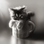 99px.ru аватар Котенок сидит в кружке