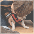 99px.ru аватар Пак Чи Мин / Park Ji Min / Jimin / Чимин-участник группы BTS / BangTan Boys / Bulletproof Boy Scouts